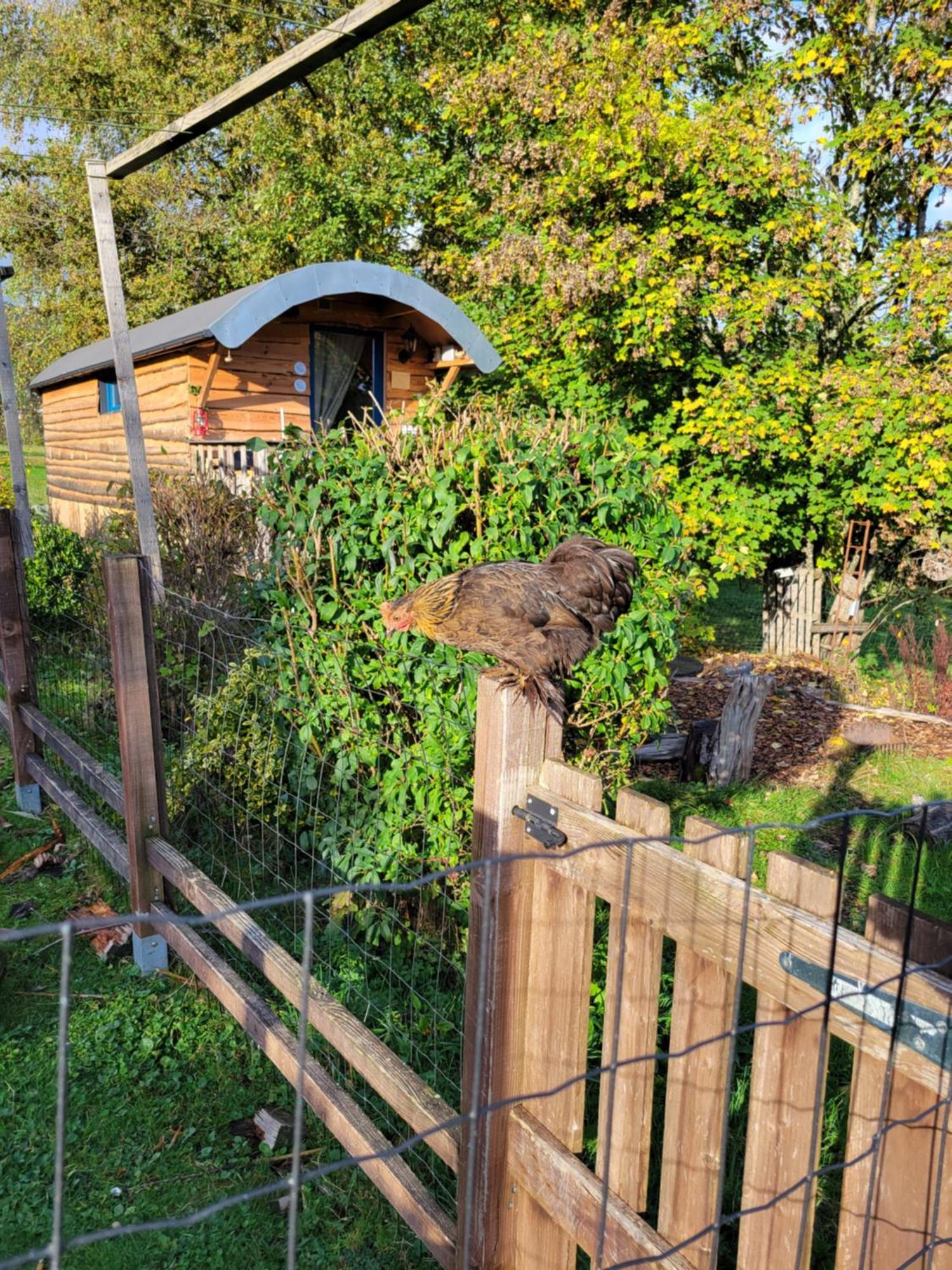 La Roulotte Tiny House Du Mond'Ideal Leval  Quarto foto
